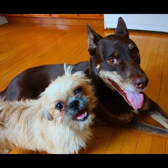 Meet your Posher, Jenny! - Picture 4 of 4